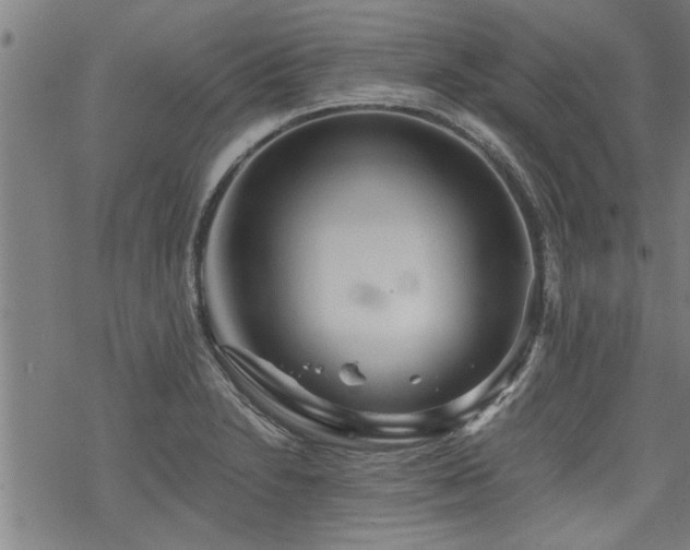 X0000069811230200605191037