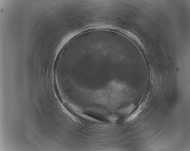 X0000069811231200605191037