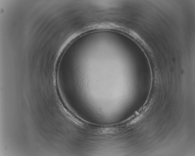 X0000069811232200605191037