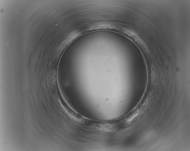 X0000069811233200605191037