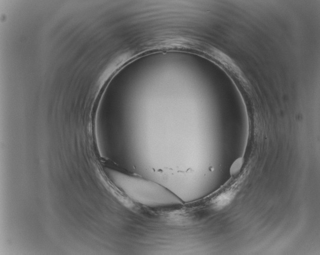 X0000069811234200605191037