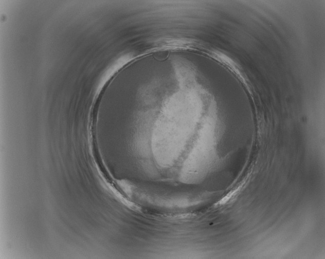 X0000069811235200605191037