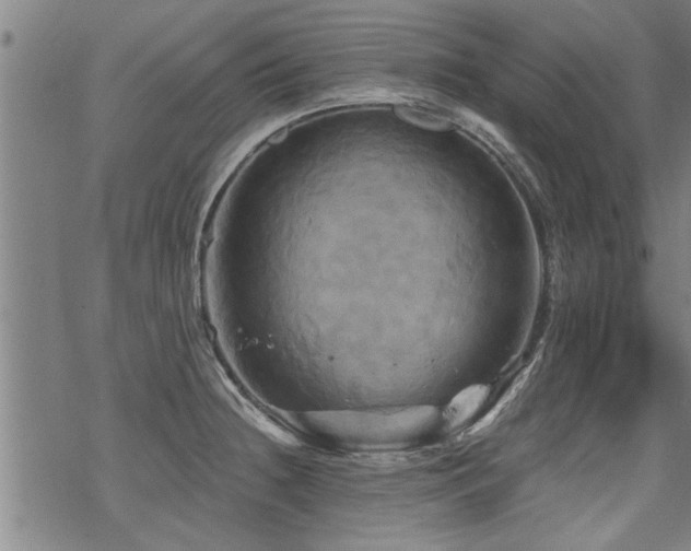 X0000069811236200605191037