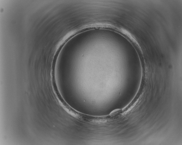 X0000069811237200605191037