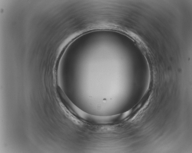 X0000069811238200605191037