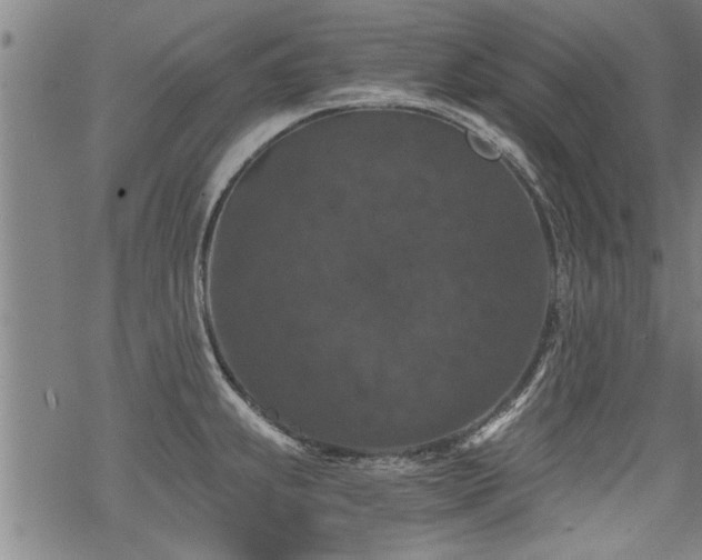 X0000069811239200605191037