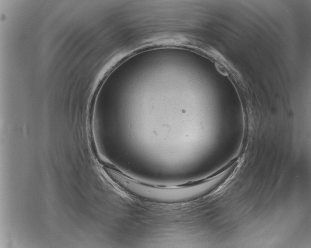 X0000069811240200605191037