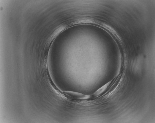 X0000069811241200605191037