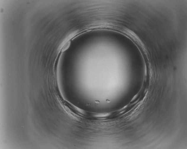 X0000069811242200605191037