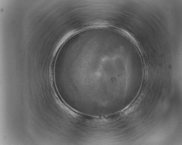 X0000069811243200605191037