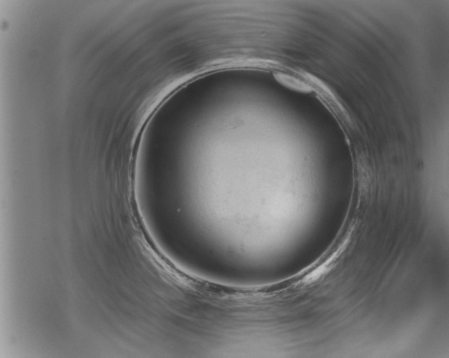 X0000069811244200605191037