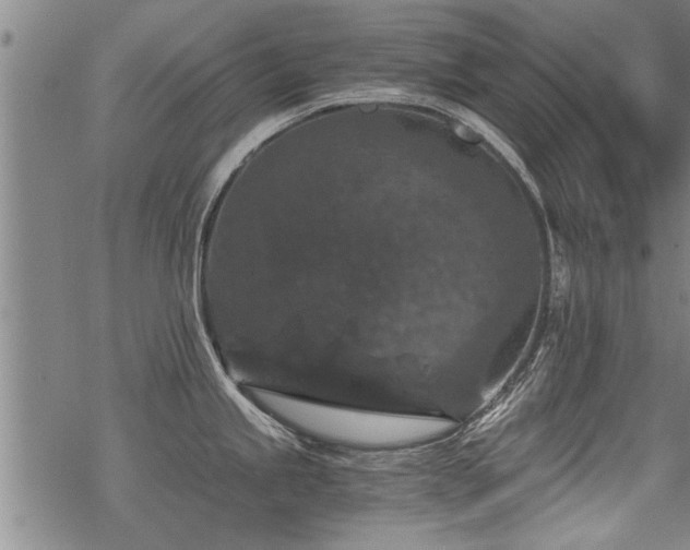 X0000069811245200605191037