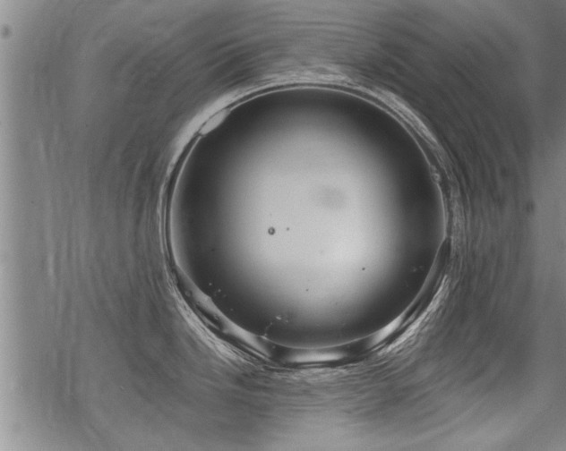 X0000069811246200605191037