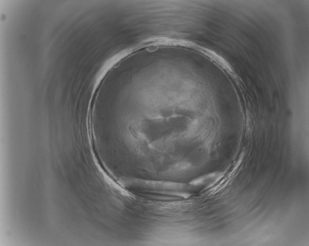 X0000069811247200605191037