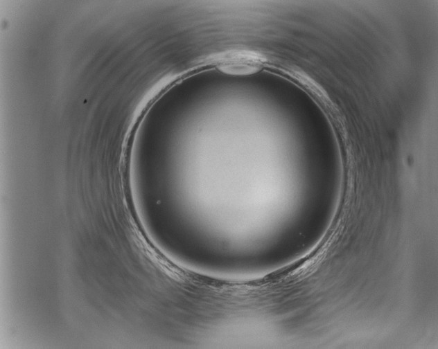 X0000069811248200605191037