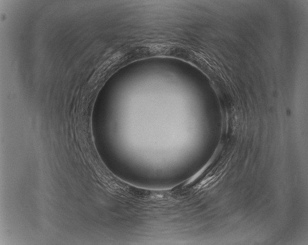 X0000069811249200605191037