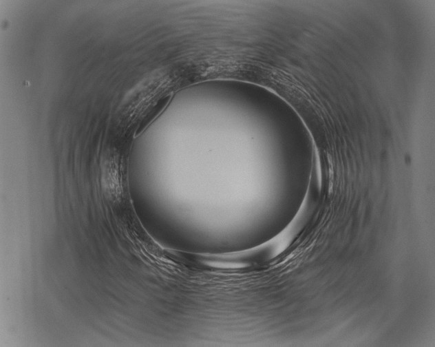 X0000069811250200605191037