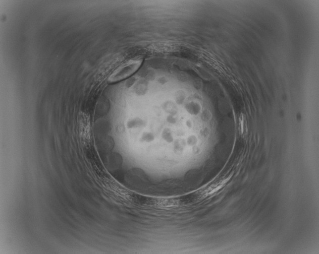 X0000069811251200605191037