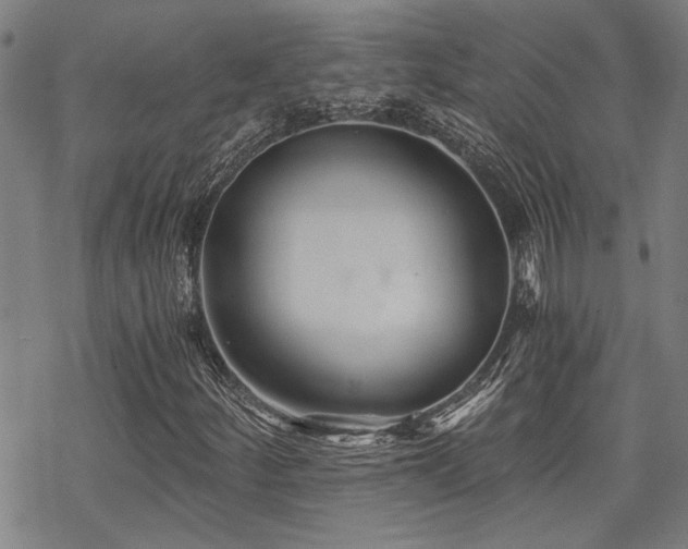 X0000069811252200605191037