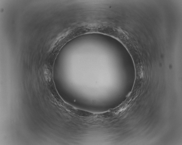 X0000069811253200605191037