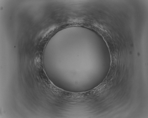 X0000069811254200605191037