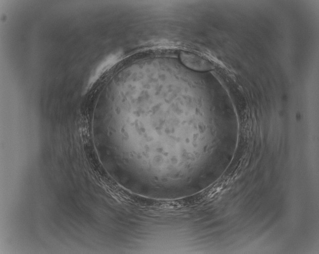 X0000069811255200605191037