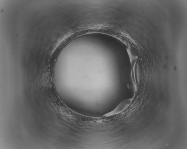 X0000069811256200605191037