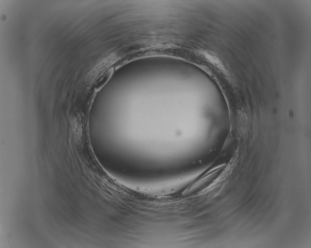 X0000069811257200605191037