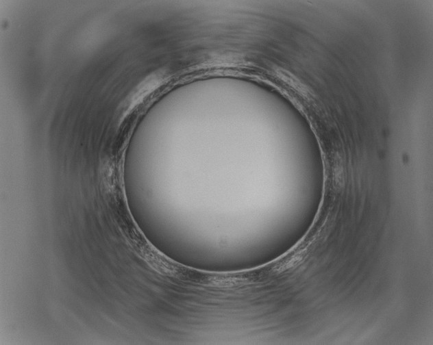 X0000069811258200605191037