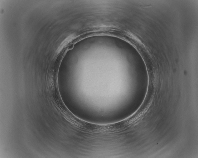 X0000069811259200605191037