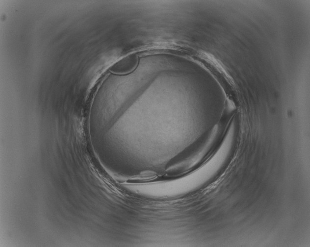 X0000069811260200605191037