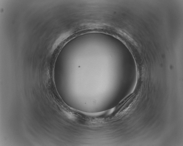 X0000069811261200605191037