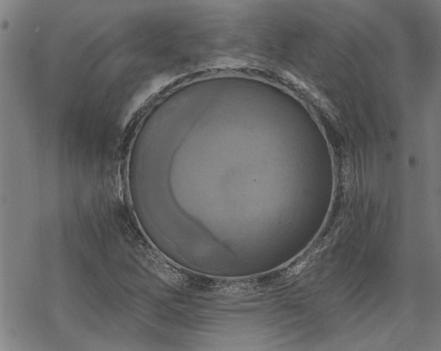 X0000069811262200605191037