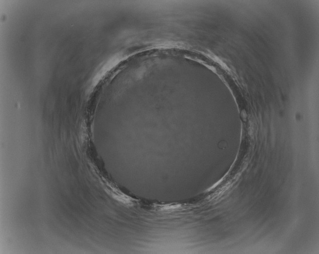 X0000069811263200605191036