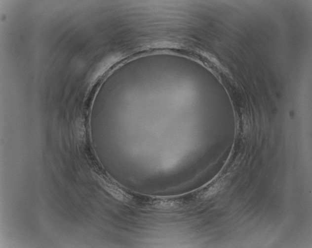 X0000069811266200605191036