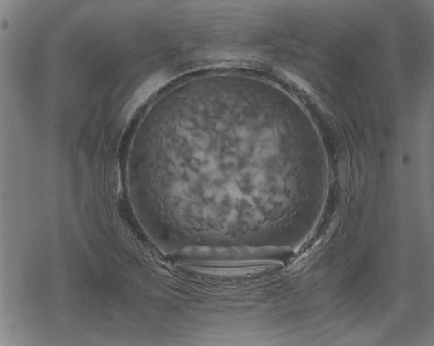 X0000069811267200605191036