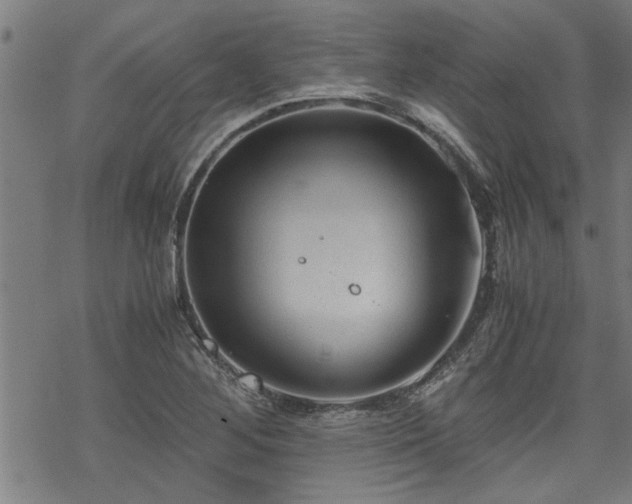 X0000069811268200605191036