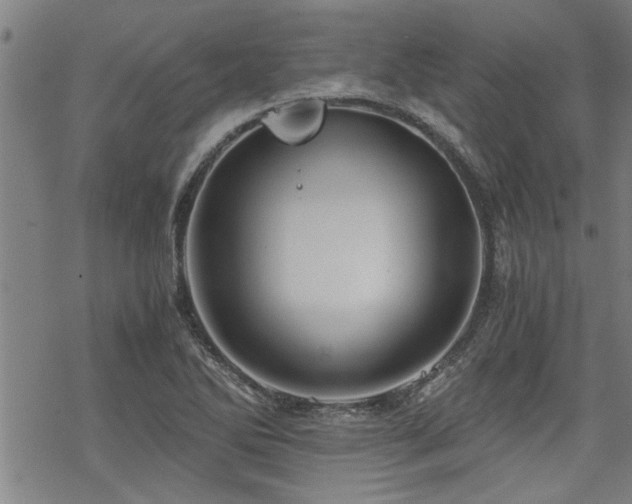 X0000069811270200605191036