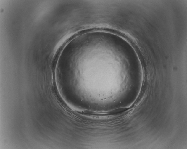 X0000069811271200605191036