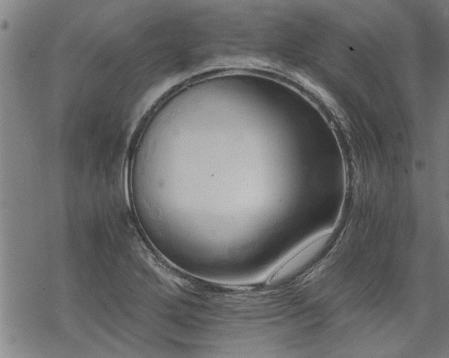 X0000069811272200605191036