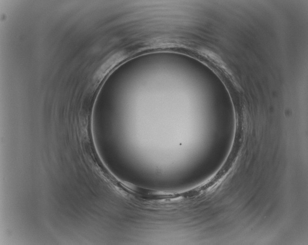 X0000069811273200605191036