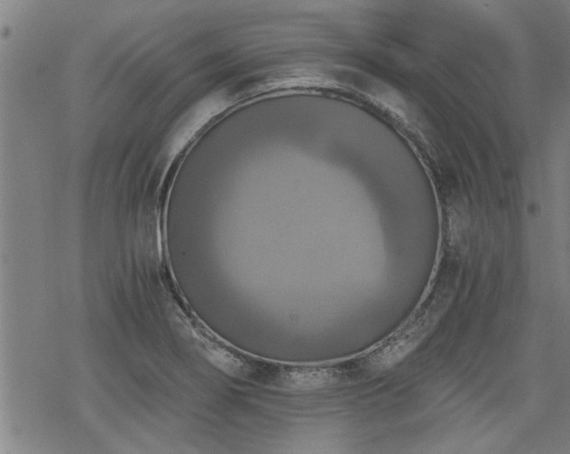 X0000069811274200605191036