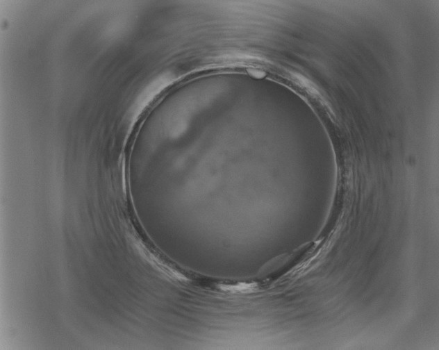 X0000069811275200605191036