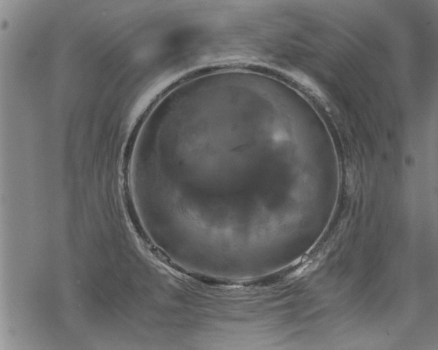 X0000069811279200605191036