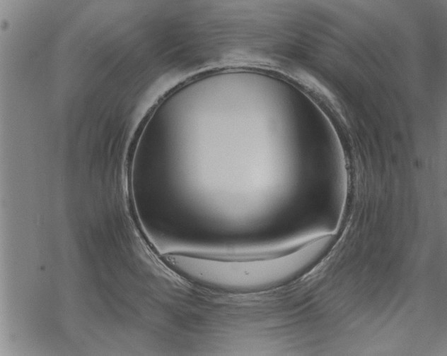 X0000069811280200605191036