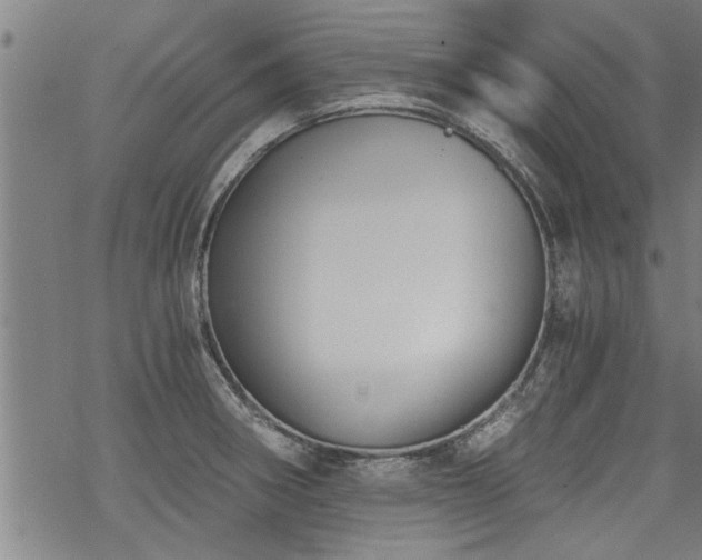 X0000069811282200605191036