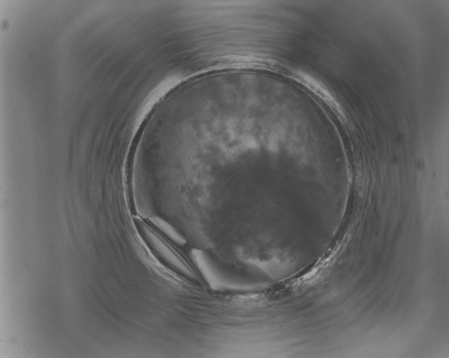 X0000069811283200605191036