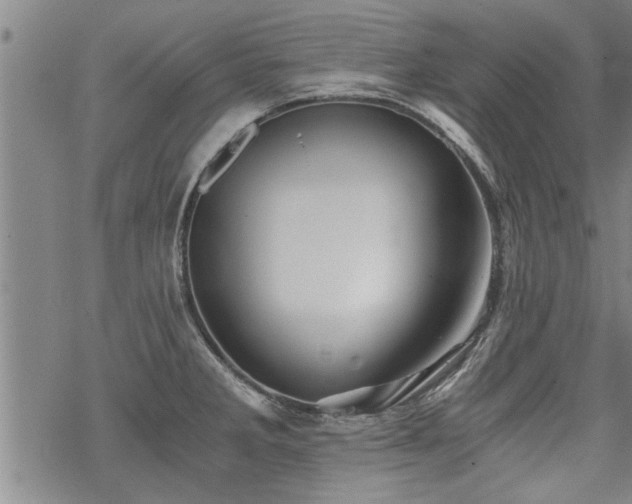 X0000069811285200605191036