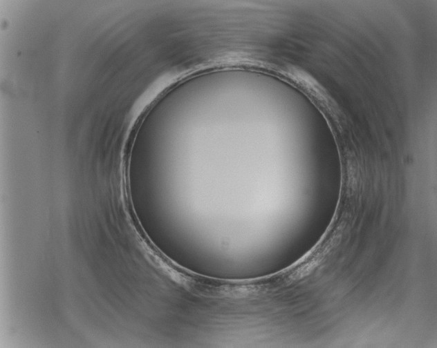 X0000069811286200605191036