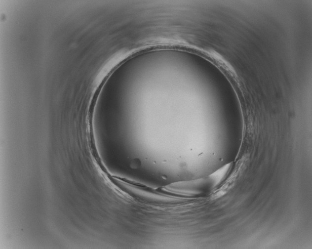 X0000069811287200605191036